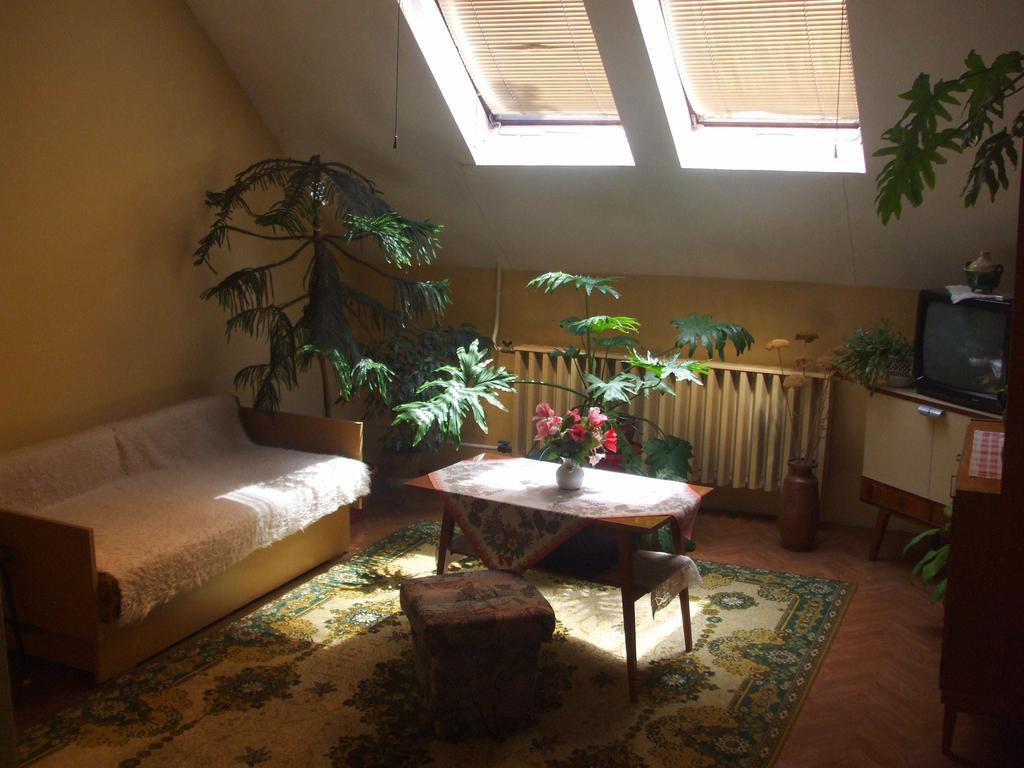 Nagy Haz Szabadkigyos Room photo